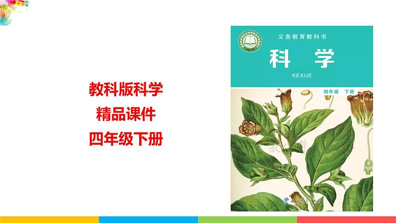 2021教科版四年级下册科学-1.4茎和叶PPT课件及教案01