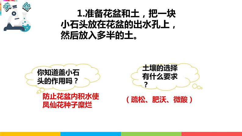 2021教科版四年级下册科学-1.2种植凤仙花PPT课件及教案05