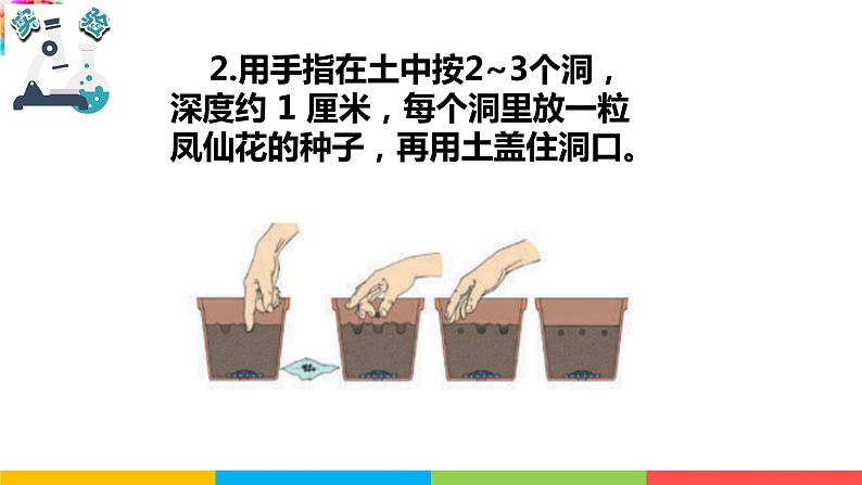 2021教科版四年级下册科学-1.2种植凤仙花PPT课件及教案06