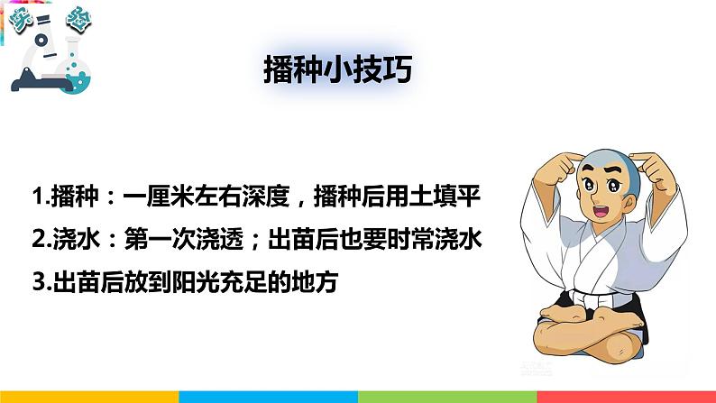 2021教科版四年级下册科学-1.2种植凤仙花PPT课件及教案08