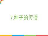 2021教科版四年级下册科学-1.7种子的传播PPT课件及教案