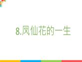 2021教科版四年级下册科学-1.8凤仙花的一生PPT课件及教案