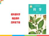 2021教科版四年级下册科学-2.5里面是怎样连接的PPT课件及教案