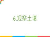 2021教科版四年级下册科学-3.6观察土壤PPT课件及教案