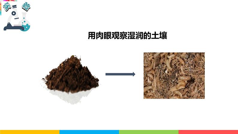 2021教科版四年级下册科学-3.6观察土壤PPT课件及教案06