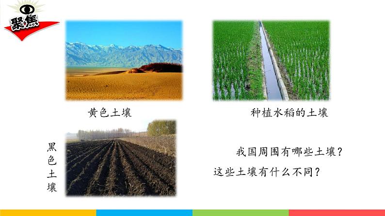 2021教科版四年级下册科学-3.7比较不同的土壤PPT课件及教案03