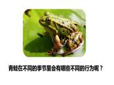 教科版（2017秋）五年級下冊科學(xué)1.5《當(dāng)環(huán)境改變了》ppt課件