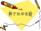 教科版（2017秋）五年級(jí)下冊科學(xué)1.1《種子發(fā)芽實(shí)驗(yàn)》ppt課件