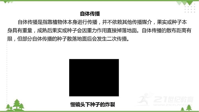 教科版四年级下1.7种子的传播  课件（24张PPT）+教案+试题+素材07