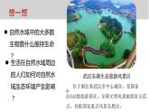 教科版（2017秋）五年級科學(xué)下冊3.7《分析一個實際的環(huán)境問題》ppt課件