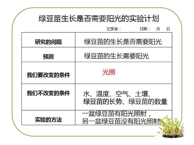 教科版（2017秋）五年级下册科学1.3《绿豆苗的生长》ppt课件04