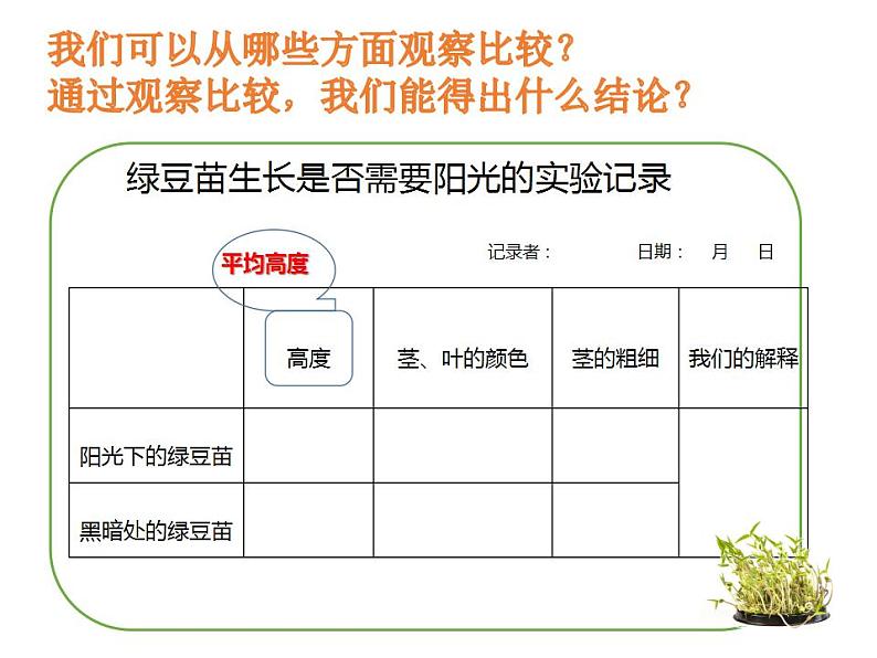 教科版（2017秋）五年级下册科学1.3《绿豆苗的生长》ppt课件08