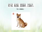 教科版一年級下冊2-6《給動物分類》課件（29張PPT）+教案+素材