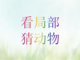 教科版一年級下冊2-6《給動物分類》課件（29張PPT）+教案+素材
