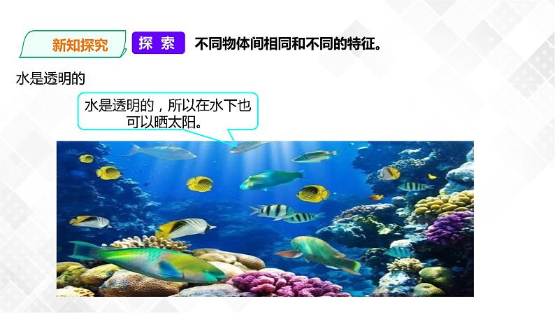 教科版一年级下册1.5观察一瓶水 课件+教案+习题06