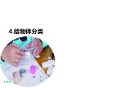 教科版一年级下册4 给物体分类  课件（9张PPT）+实验记录单+微课