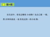 教科版一年级下册3.观察一种动物  微课+实验记录单+课件（18张PPT）