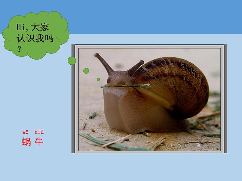教科版一年级下册3.观察一种动物  微课+实验记录单+课件（18张PPT）03