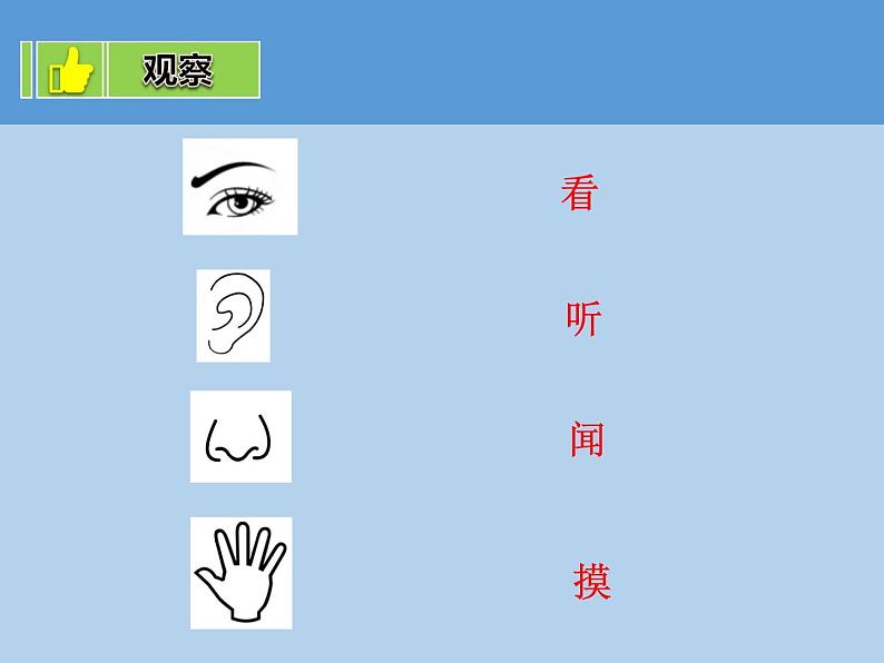 教科版一年级下册3.观察一种动物  微课+实验记录单+课件（18张PPT）05