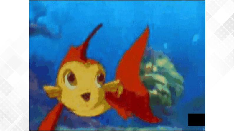 教科版一年级下册2-5《观察鱼》课件（25张PPT）+教案+素材03