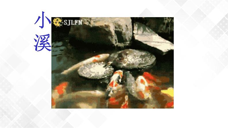 教科版一年级下册2-5《观察鱼》课件（25张PPT）+教案+素材05