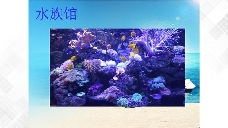 教科版一年级下册2-5《观察鱼》课件（25张PPT）+教案+素材06