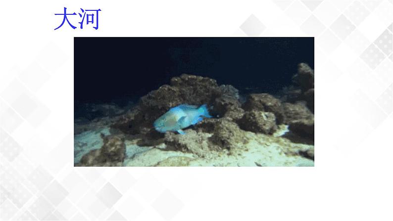 教科版一年级下册2-5《观察鱼》课件（25张PPT）+教案+素材07