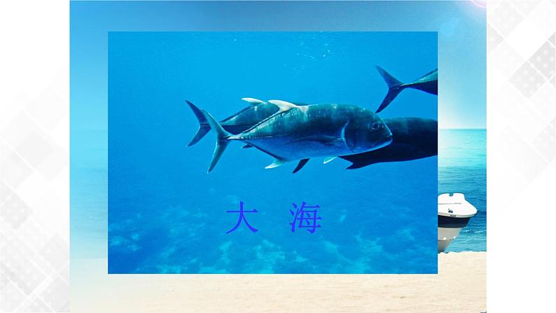 教科版一年级下册2-5《观察鱼》课件（25张PPT）+教案+素材08