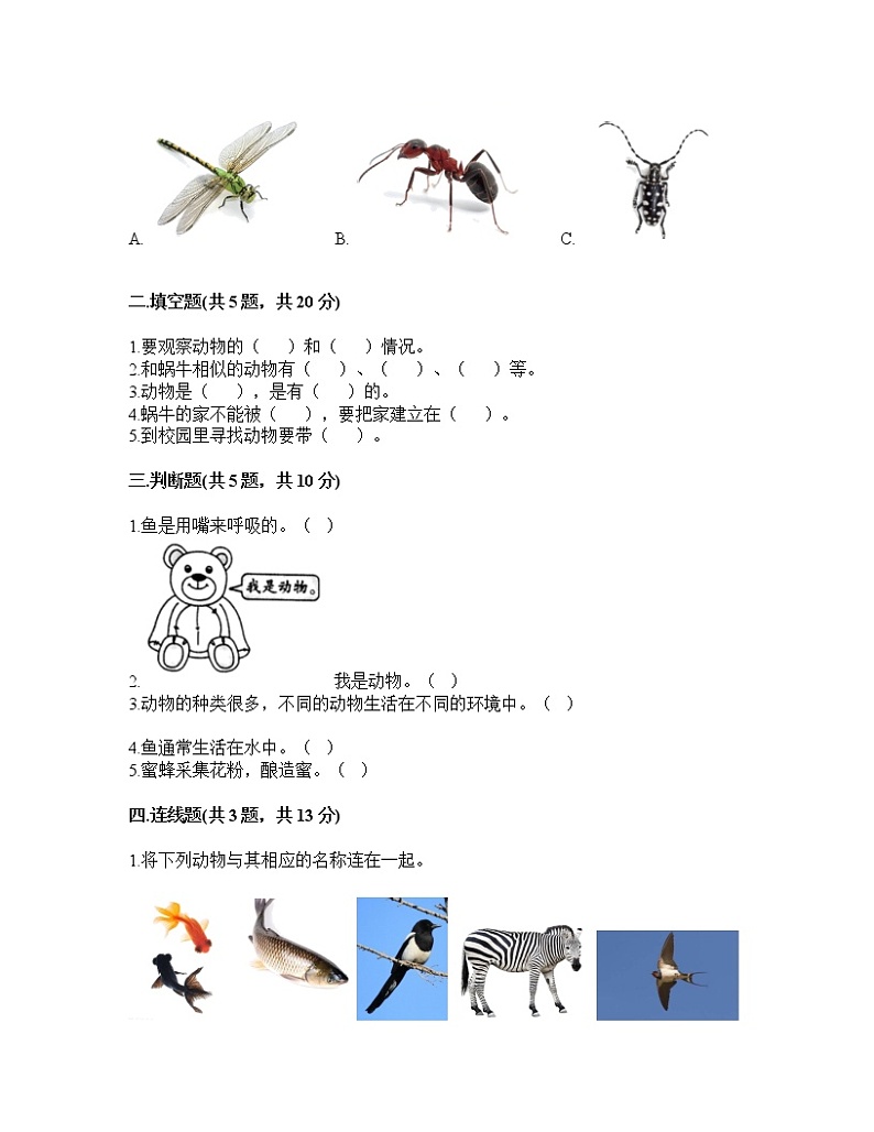 一年级下册科学第二单元 动物 测试卷教科版（含答案）02