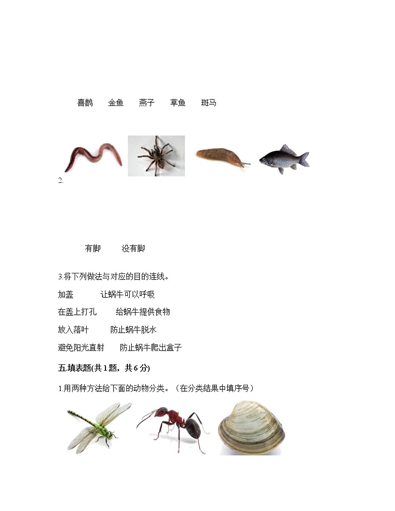 一年级下册科学第二单元 动物 测试卷教科版（含答案）03