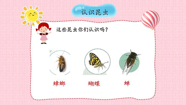 苏教版四年级下册科学第三单元3.9庞大的“家族”课件+视频素材05