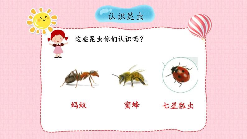 苏教版四年级下册科学第三单元3.9庞大的“家族”课件+视频素材06