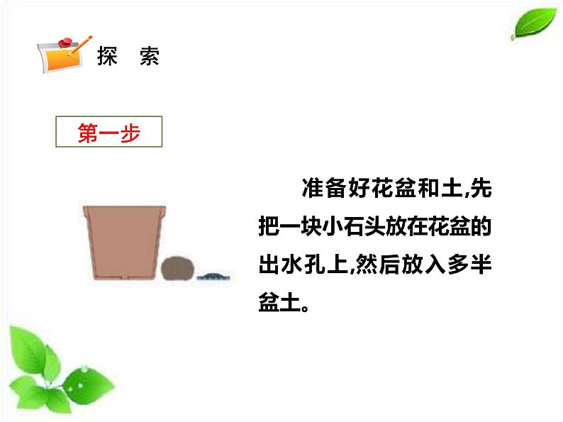 四年级下册科学课件 - 1.2种植风仙花    教科版（共16张PPT）第4页