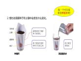 四年级下册科学课件-1-2《种植凤仙花》 教科版 (共17张PPT)