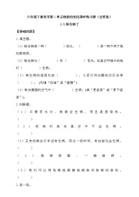 小学科学教科版六年级下册5、铁生锈了测试题