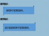 1.3种子长出了根课件PPT+素材