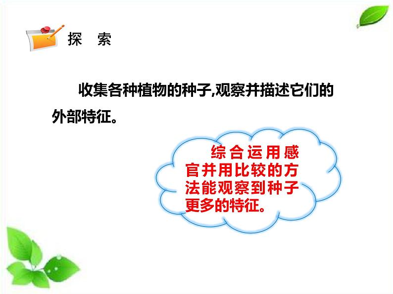 四年级下册科学课件 - 1.1种子里孕育着新生命   教科版04