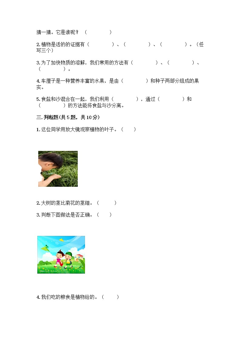 一年级上册科学第一单元植物测试题教科版（含答案）02