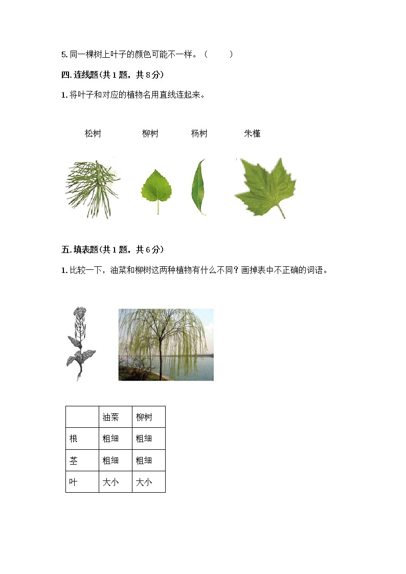 一年级上册科学第一单元植物测试题教科版（含答案）03