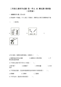 小学科学教科版 (2017)三年级上册水综合与测试练习题