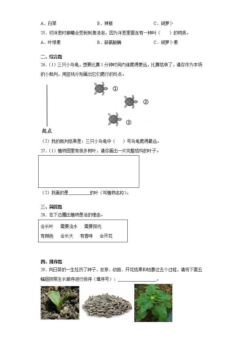 2020-2021学年河南省郑州市中原区教科版一年级上册期末水平测试科学试卷（word版 含答案）03