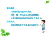 四年级下册科学课件  1.4茎和叶  教科版