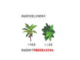四年级下册科学课件-1-4《茎和叶》 教科版