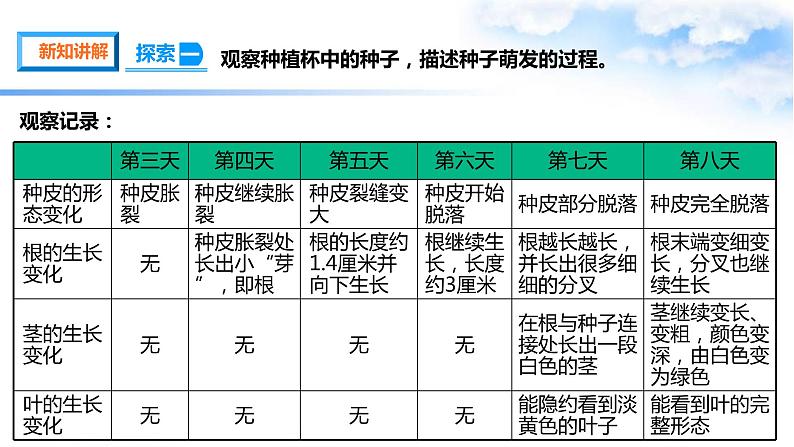 1.3种子长出了根 课件第6页