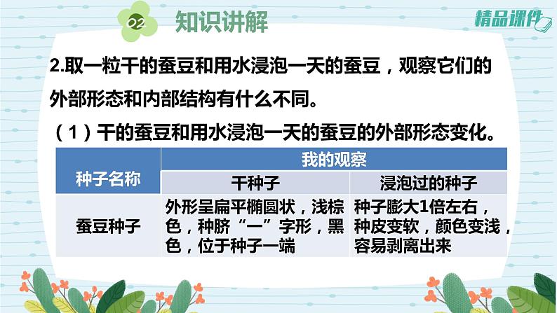 【新版精品】四年级科学下册课件（含素材）-第一单元1.《种子里孕育着新生命》 教科版08