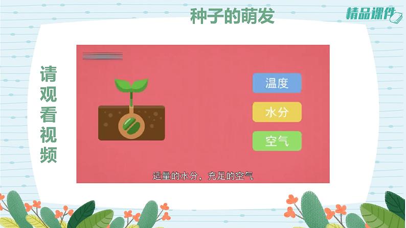 四年级科学下册第一单元2.《种植凤仙花》课件 教科版03