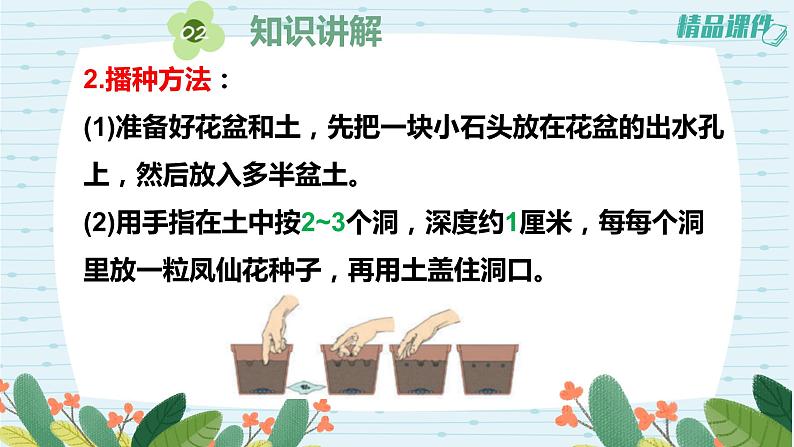 四年级科学下册第一单元2.《种植凤仙花》课件 教科版06