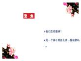 教科版四年级科学下册2《种植凤仙花》教学课件