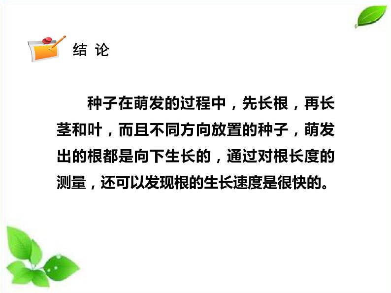 四年级下册科学（课件+音频） 1.3种子长出了根  教科版06