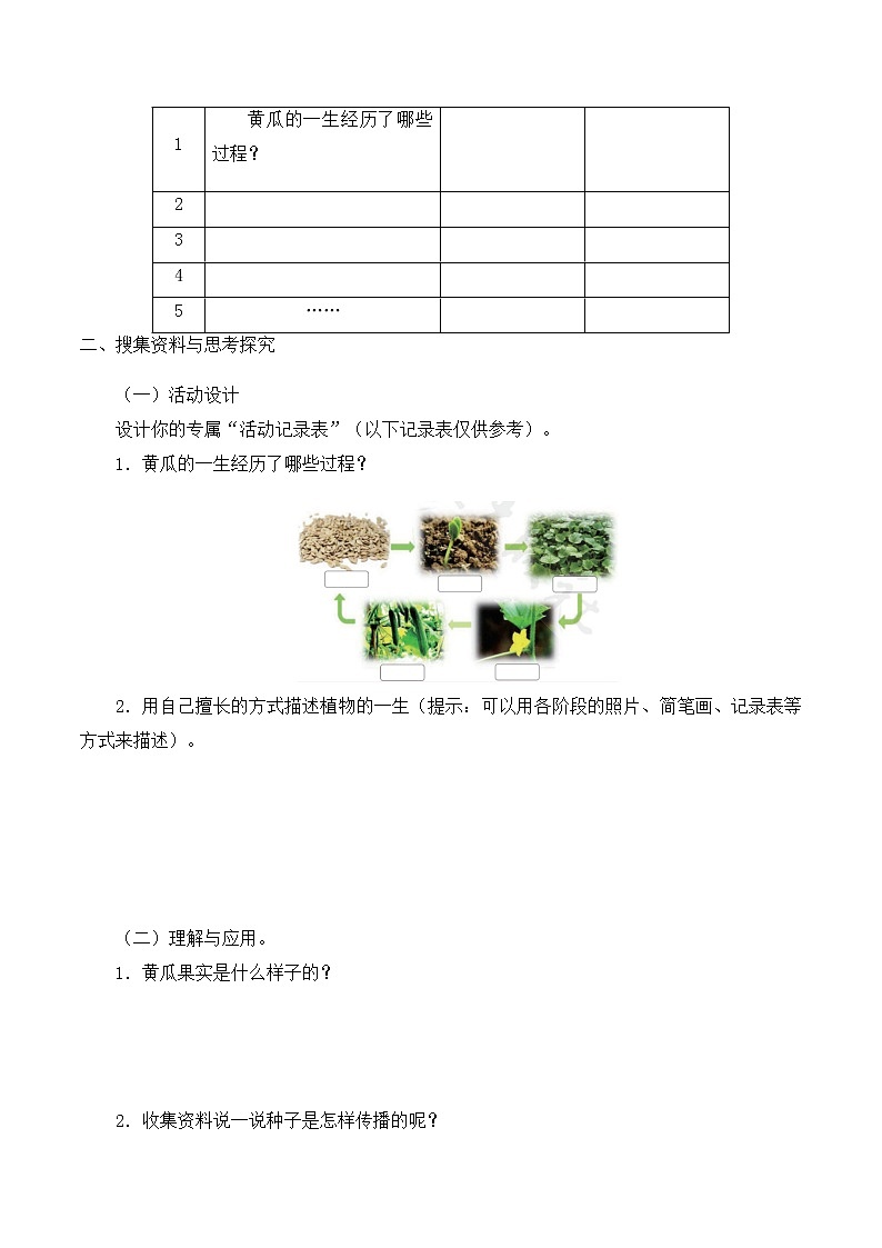 三年级下册科学导学案-第三单元5硕果累累 大象版（2017）02